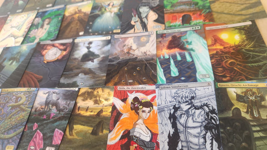 02/12/25 - New Arrivals!