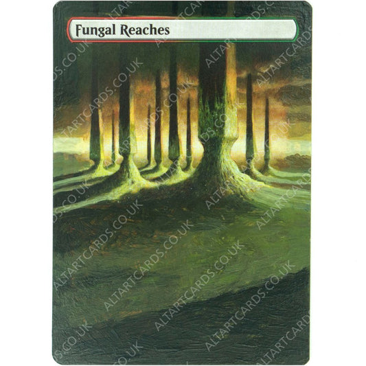 Altered Art - Fungal Reaches