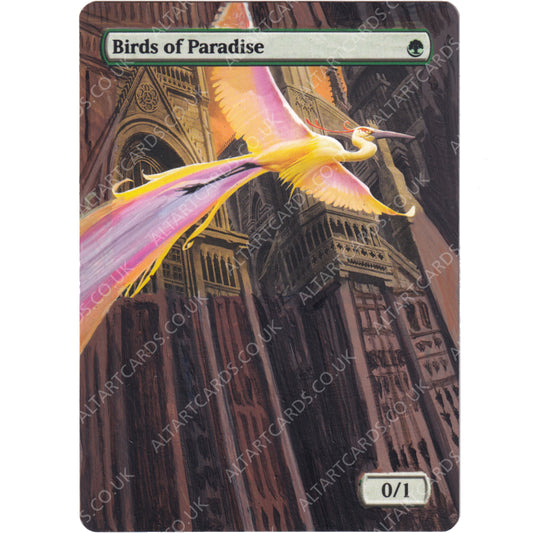 Altered Art - Birds of Paradise