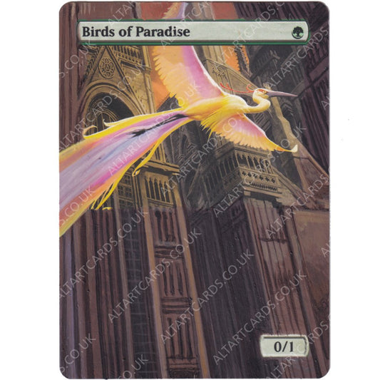 Altered Art - Birds of Paradise