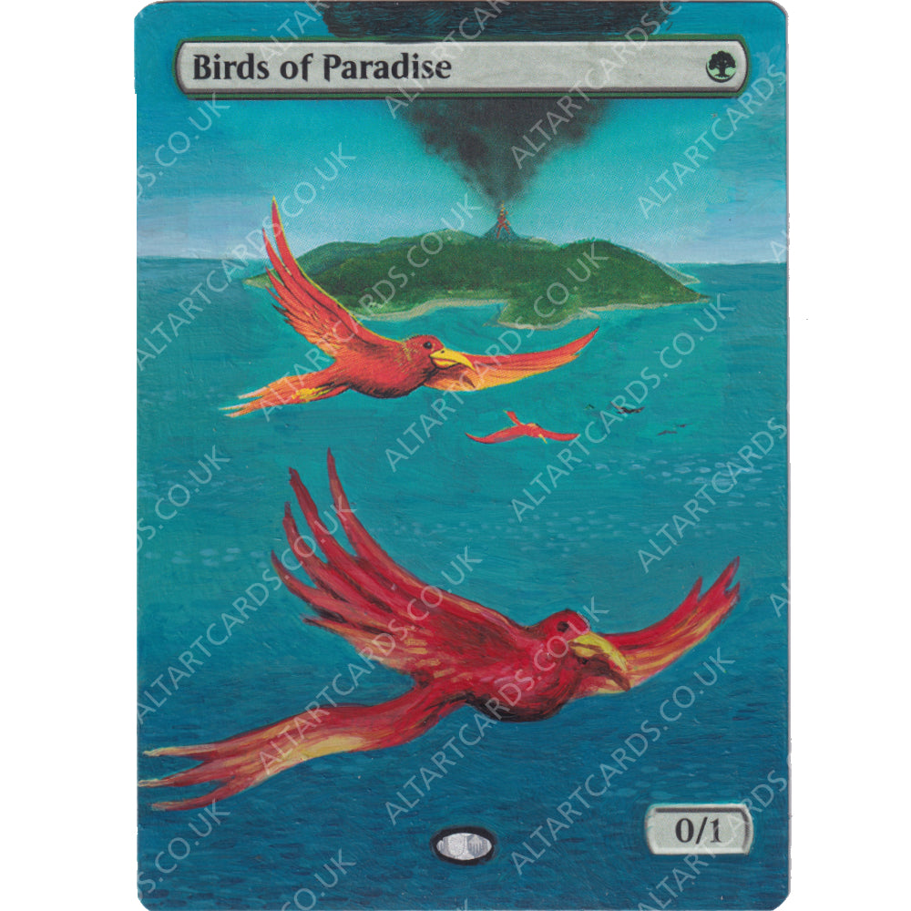 Altered Art - Birds of Paradise