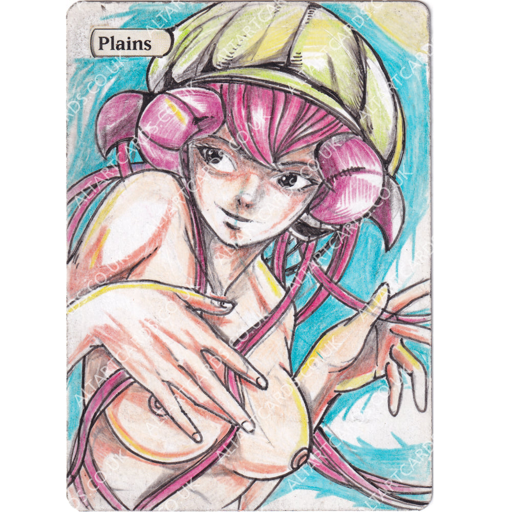 Altered Art - Plains