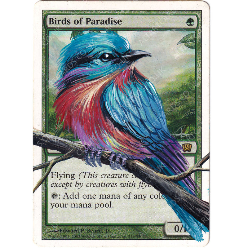 Altered Art - Birds of Paradise