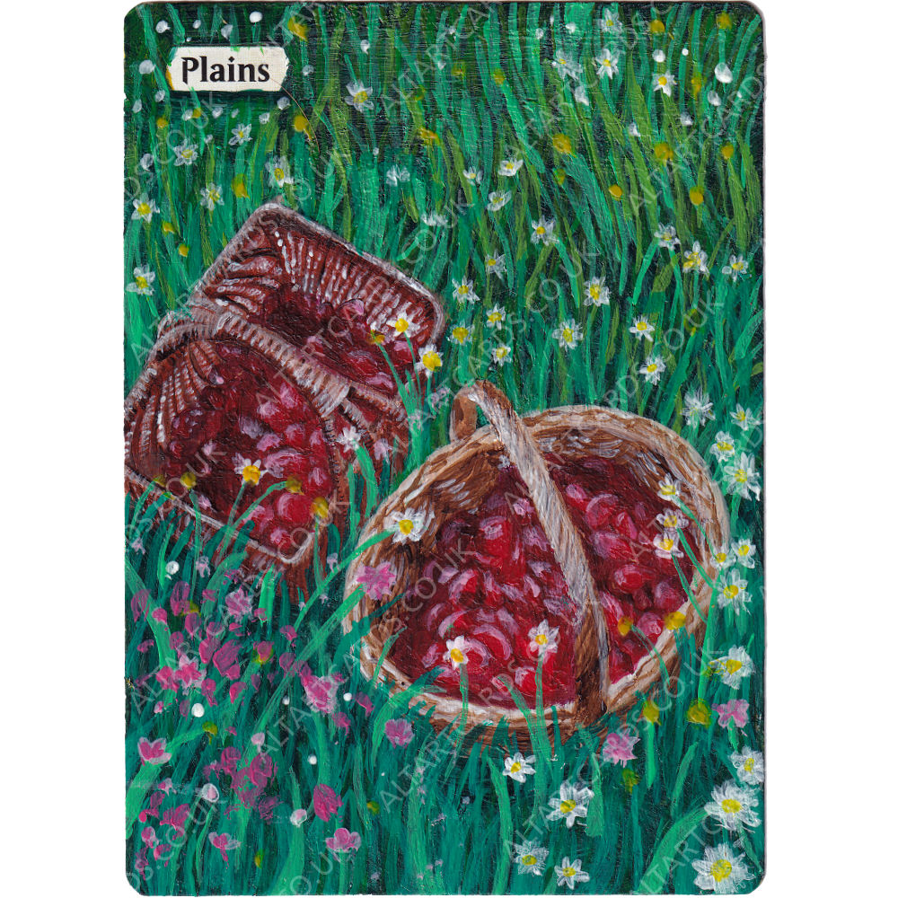 Altered Art - Plains