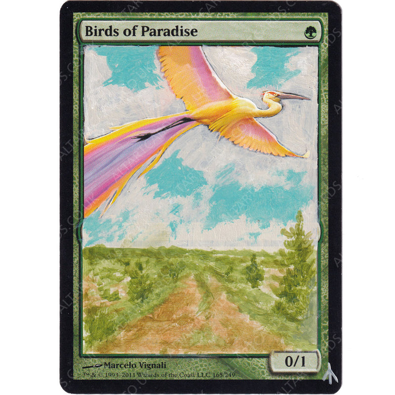 Altered Art - Birds of Paradise
