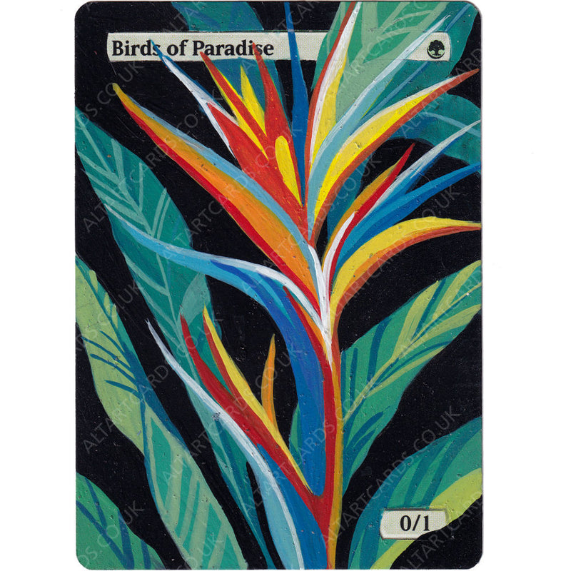 Altered Art - Birds of Paradise