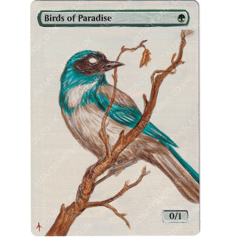 Altered Art - Birds of Paradise