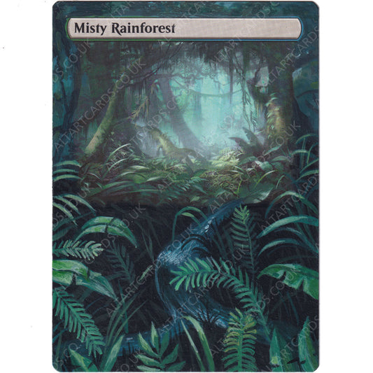 Altered Art - Misty Rainforest