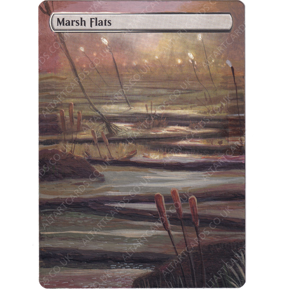 Altered Art - Marsh Flats